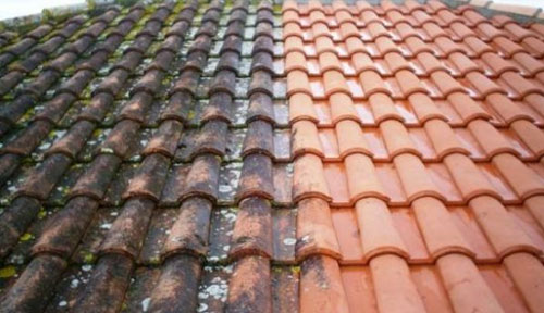 Démoussage de toiture Conseil Structure Rénovation en Loire Atlantique